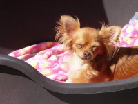 /album/fotogalerij/a1098296-361516083977950-1527885362-n-jpg/