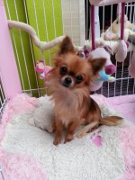 /album/fotogalerij/a1545629-464597540336470-850230776-n-jpg/