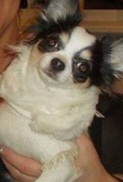 /album/fotogalerij/a974440-1518860825033555-1738256670-n-jpg/