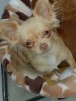 /album/fotogalerij/a1779208-588767181252838-4395272821247904222-n-jpg/