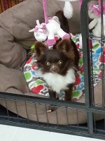 /album/fotogalerij/a10482532-588767221252834-5489034968491068107-n-jpg/